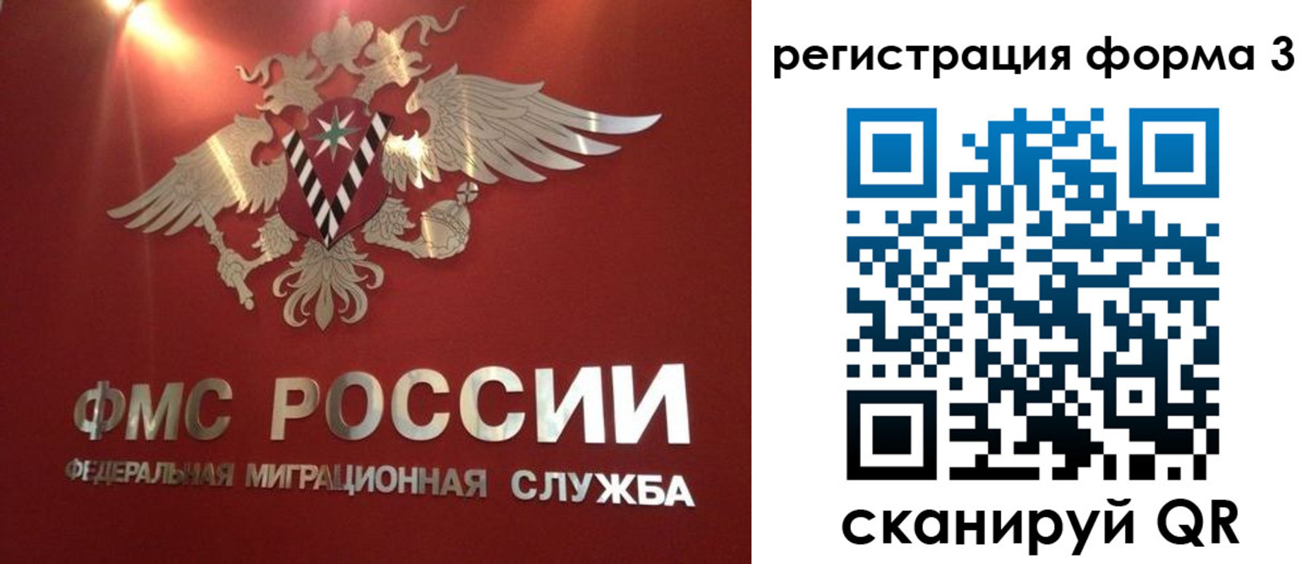 прописка гарантия в Чернушке